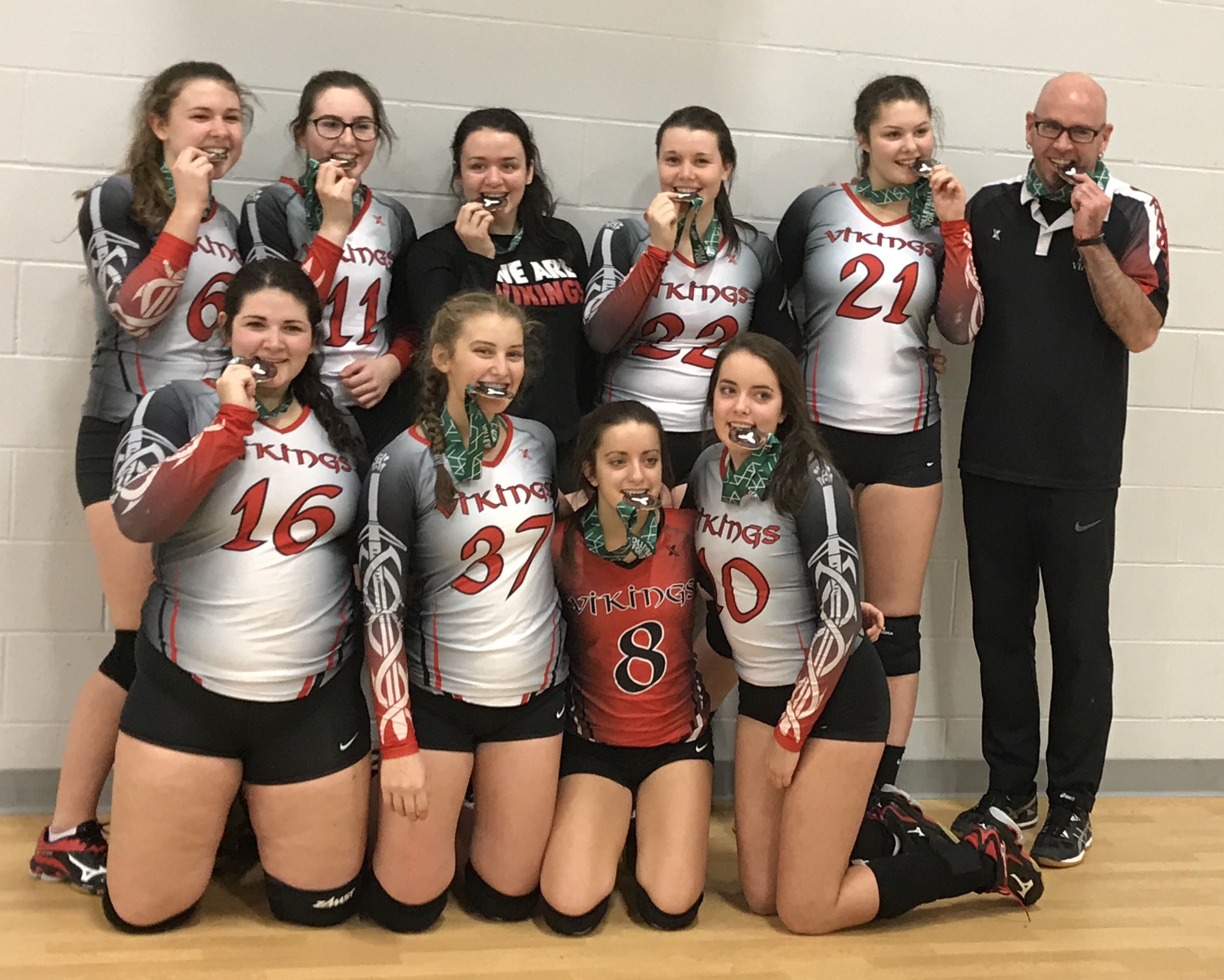 About | Ottawa Valley Vikings Volleyball Club